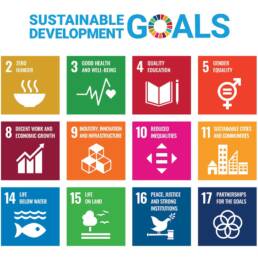 sustainable development goals chart